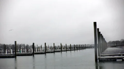 Moody Seaside Empty Boat Slips Seagull flies in Background, duck swims Stock Footage 100613675