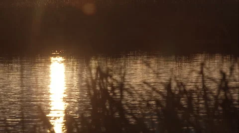 Moody sunset Stock Footage 50439413