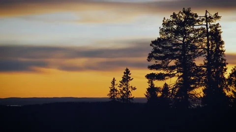Moody sunset layers of color forest hill Stock Footage