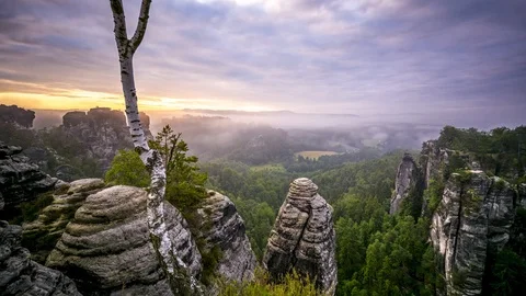 Moody time lapse of forest and mountains at sunrise Stock Footage 95391775