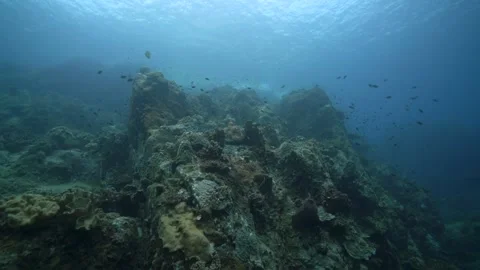 Moody wide angle scene of a pinnacle at Shark Island, Koh Tao Stock Footage 256637603