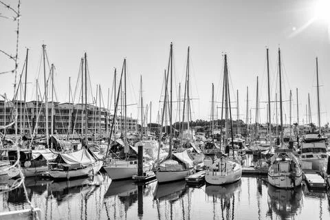 MOOLOOLABA, AUSTRALIA - Aug 12, 2021: A grayscale shot of a coastal marina of Fotos Stock