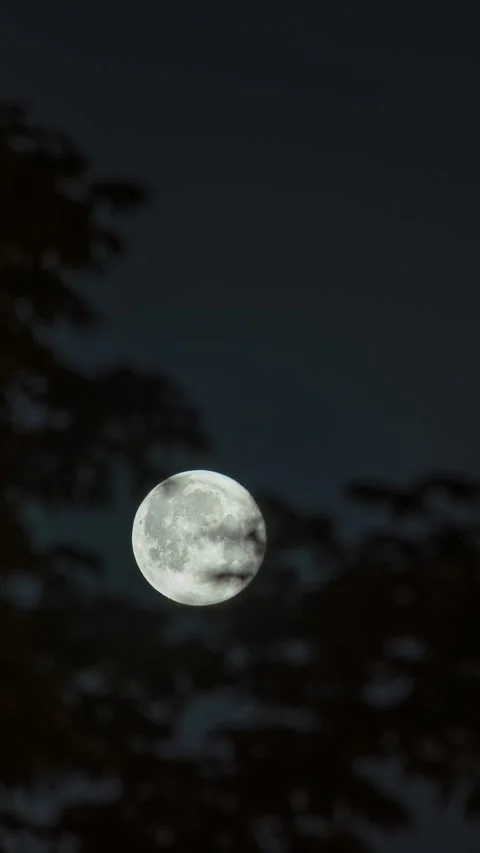 MOON 01 Stock Footage 339181359