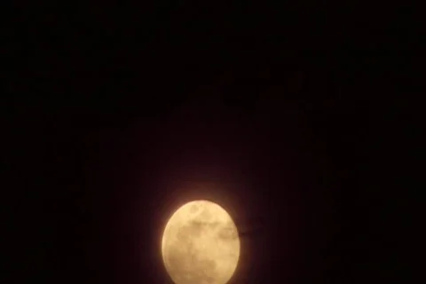 Moon 01 WIDE 스톡 동영상 89255