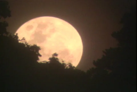 Moon 03 Stock Footage 607598