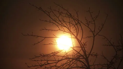 Moon 3 Stock-Footage 23391486