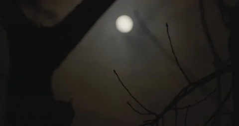 Moon 3 Stock Footage 131344718