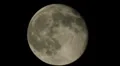 Moon 44 HD Footage