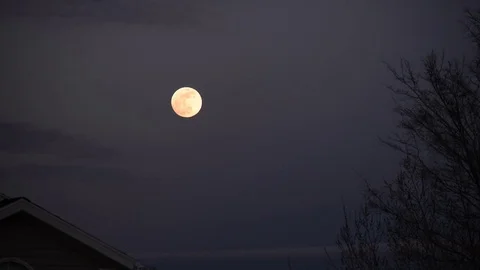 Moon Above a House and Tree at Dusk - Grey Sky Video stock 85301689