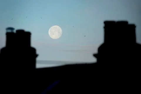 Moon Above Rooftops Stock Photos