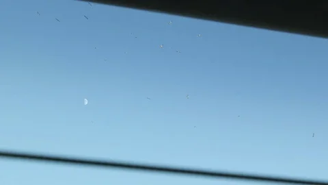 Moon and Birds Stock Footage 85055605