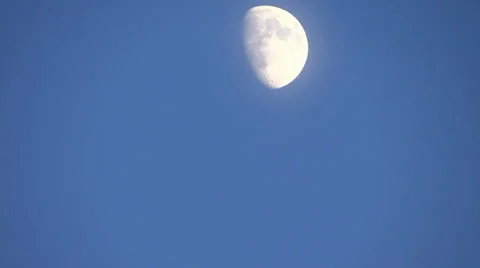 Moon and black birds 動画素材 34342275