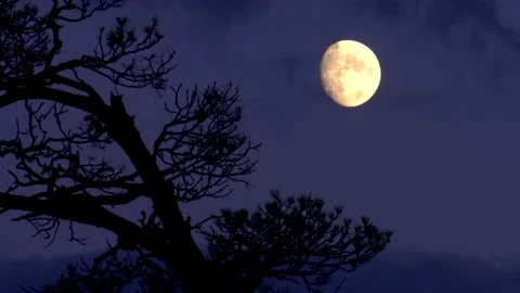 Moon and clouds at sunset Stock Footage 136648339