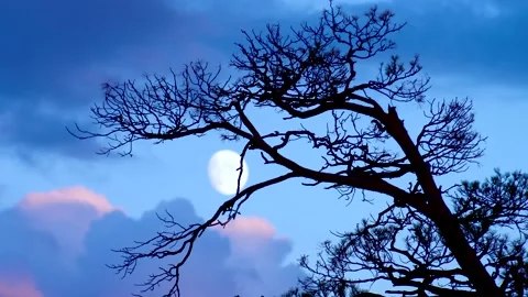 Moon and clouds at sunset Stock Footage 136648409