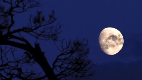Moon and clouds at sunset Stock Footage 136648697