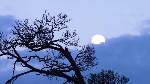 Moon and clouds at sunset Stock Footage 136648775