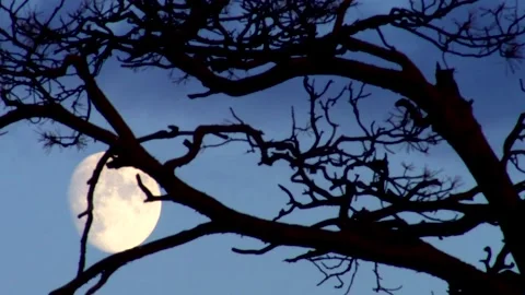 Moon and clouds at sunset Stock Footage 136648802