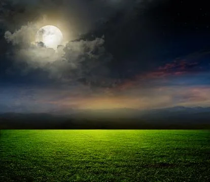 Moon and field Stock Illustration