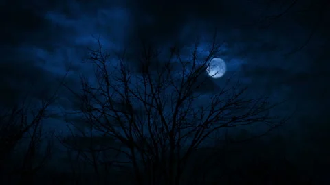 Moon And Lightning Above The Trees Scary Scene Vídeo Stock 241834448