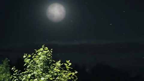 Moon and midges Stock Footage 91526992