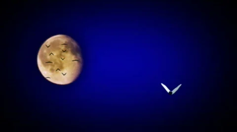 Moon and Moths Stock-Footage 538278