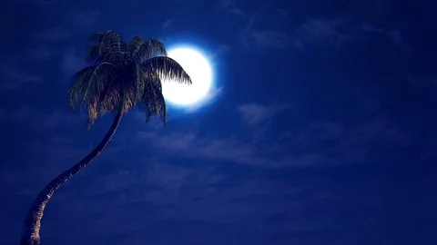 Moon and palm in the wind, 3d animation Video stock 84825882