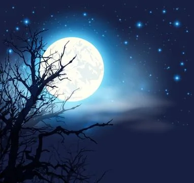 Moon and silhouette of tree Stock Illustration