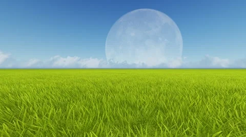 Moon and spring green meadow. Wind grass Stock Footage 67643349