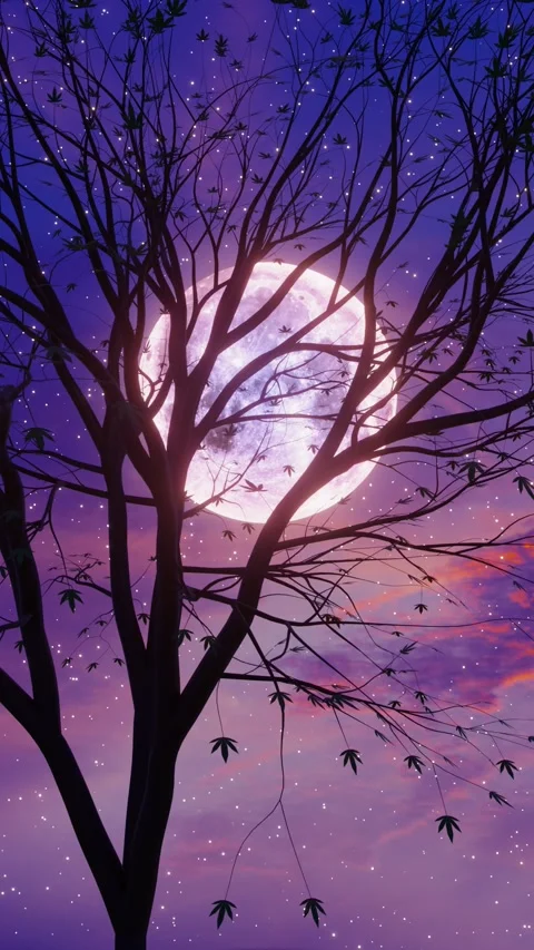 Moon and tree night view, sunset Stock Footage 302526448