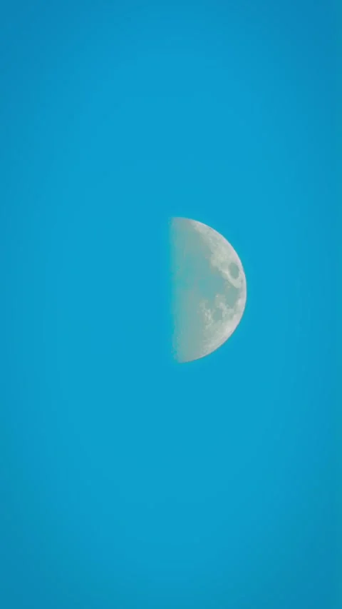 Moon appearing in daylight sky with half surface illuminated. Lunar sphere Stock Footage 317080624