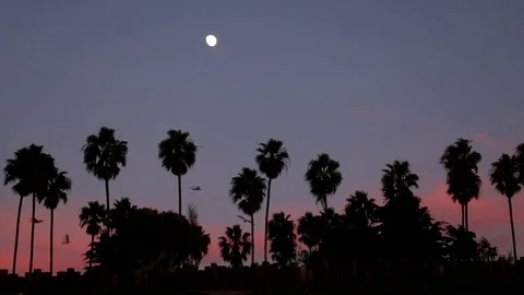 The moon appears at the end of the day Stock Footage 82921022
