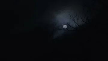 The moon appears through the clouds. moon night background Stock Footage