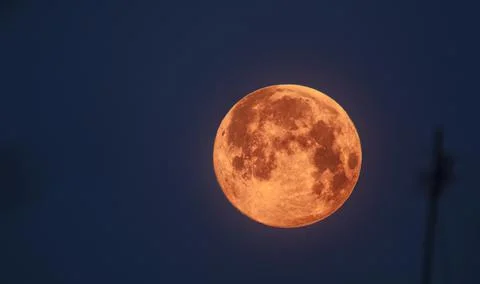 Moon on a background of blue sky. Stock Photos