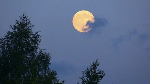 Moon on the background of tree come out from the cloud and up. Time Lapse. Stock Footage 39517922