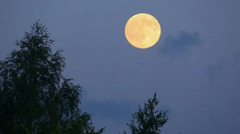 Moon on the background of tree come out from the cloud and up. Time Lapse. Stock Footage 39518362