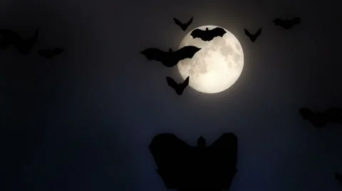 Moon with bats flying group bat. Stock Footage 42845656