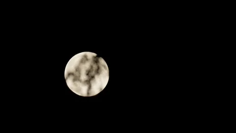 The Moon Behind a Tree Branch Video stock 345589347