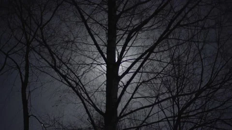 THE MOON BEHIND THE TREES Stock Footage 68859305