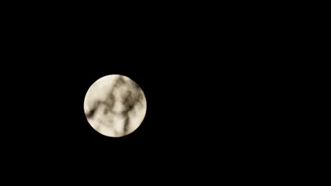 The Moon Behind the Trees Leaves Fast Time Lapse 库存影片 346204581