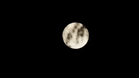 The Moon Behind the Trees Leaves Stock-Footage 345797115