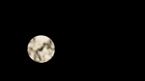 The Moon Behind the Trees Leaves Time Lapse Stock-Footage 346057272