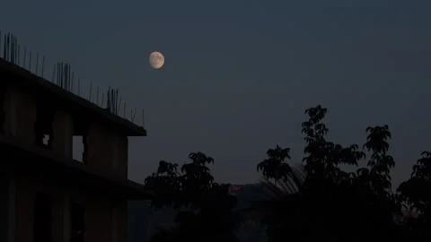 The Moon between dancing branches and an abandoned building. Stock Footage 284667444