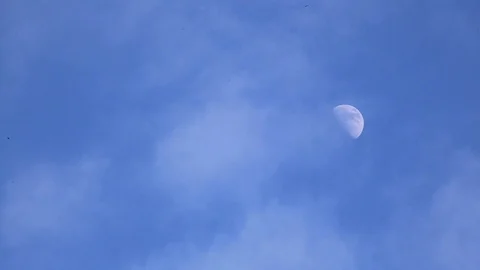 Moon on blue sky at daytime with clouds flying Stock Footage 86318775