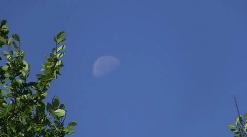 Moon in Blue Sky Stock Footage 25880591