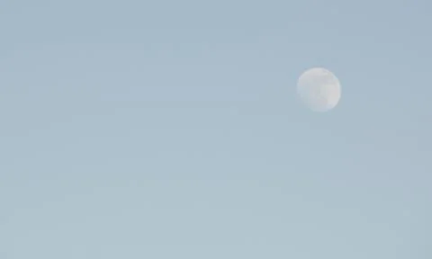 Moon on blue sky Stock Photos