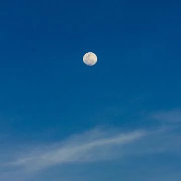 Moon on the blue sky Stock Photos