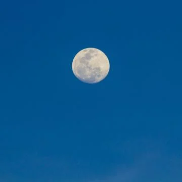 Moon on the blue sky Stock Photos