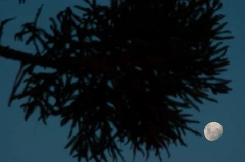 The moon in a blue sky Foto stock