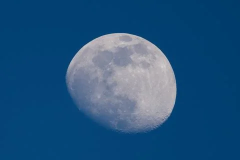Moon on blue sky Stock Photos