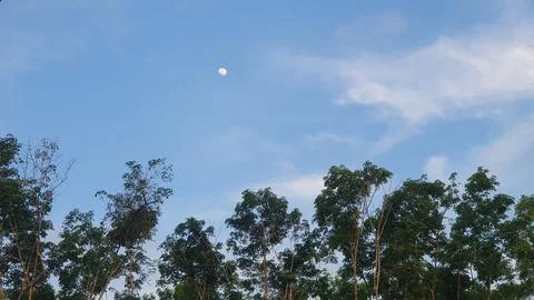 Moon In Blue Sky Stock Photos